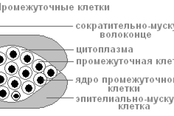 Kraken ссылка актуальная
