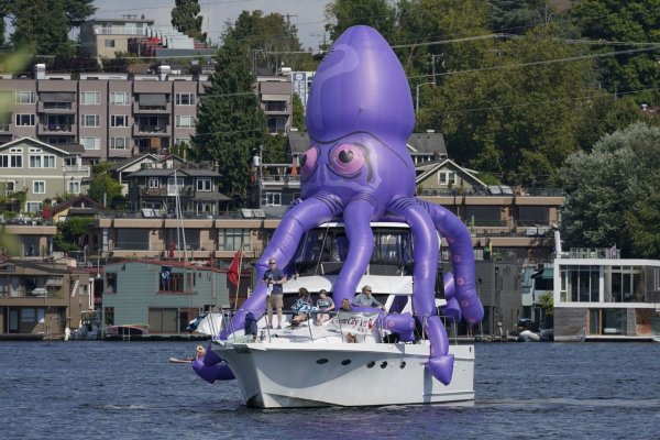 Кракен официальная ссылка kraken torion