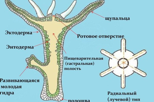 Зайти на кракен