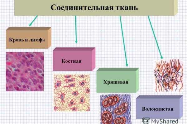 Кракен даркнет ссылка для тор