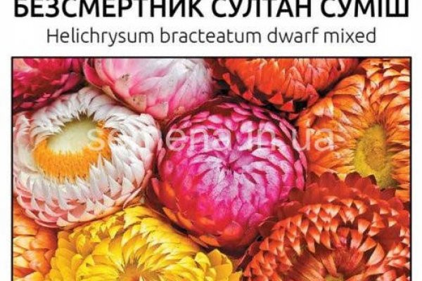 Почему не могу зайти на кракен