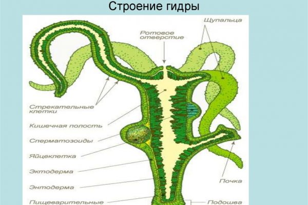 Кракен сайт kr2web