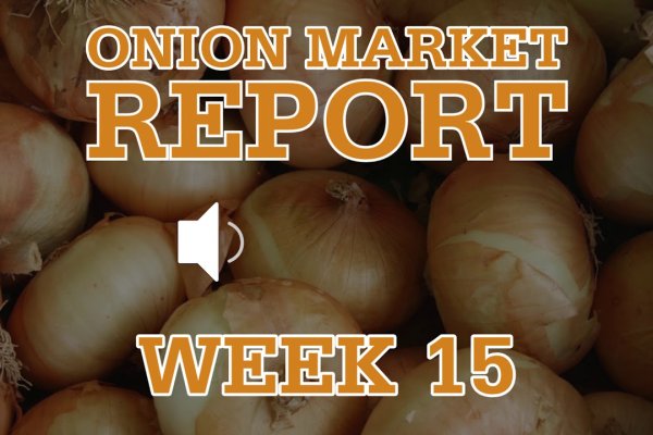 Кракен зеркало onion
