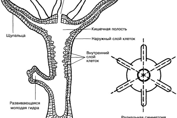 Кракен мефедрон