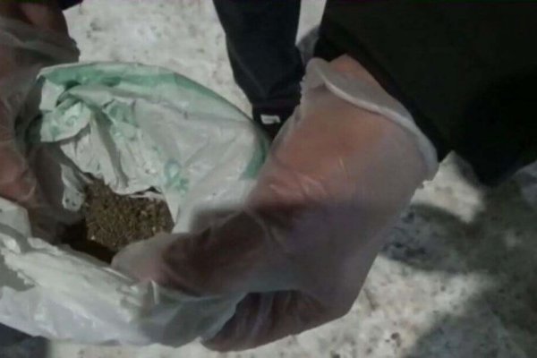 Kraken darknet зеркала кракен обход
