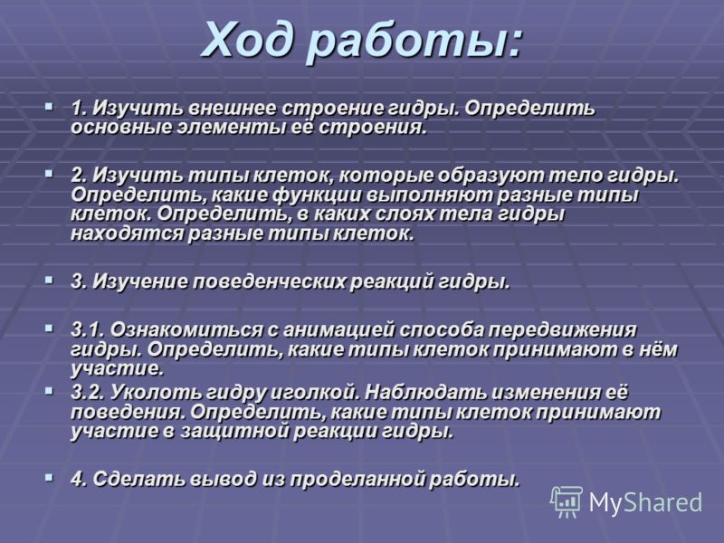 Кракен зон