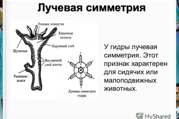 Кракен нарко