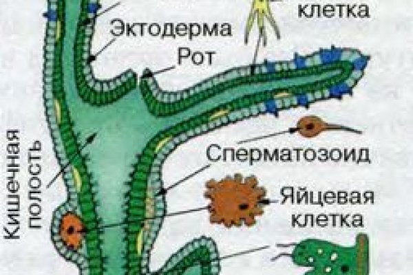 Кракен даркнет krawebes